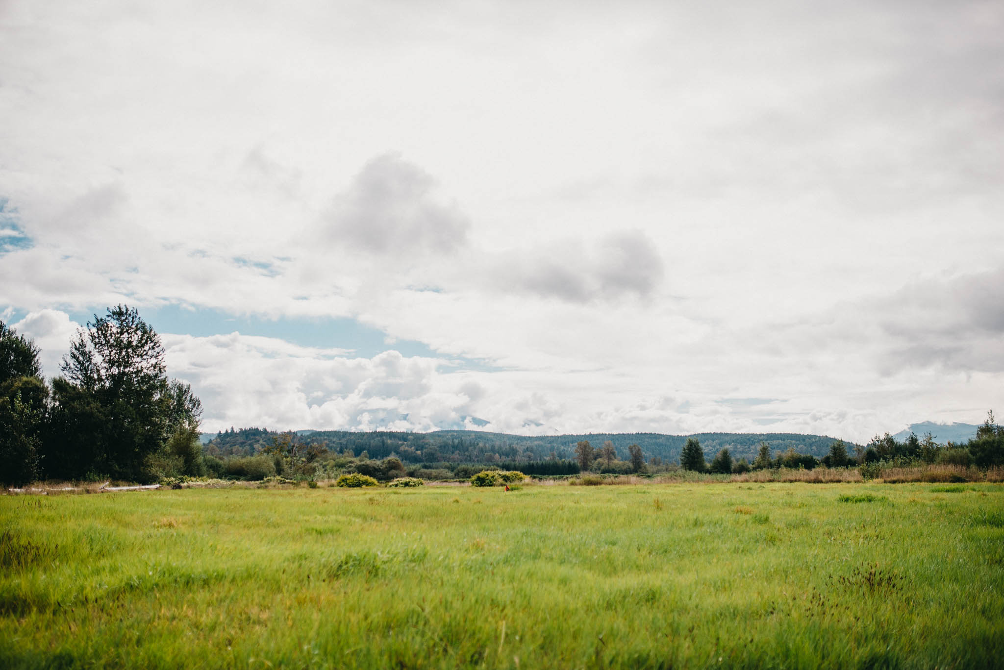 Farm Field in Western Washington